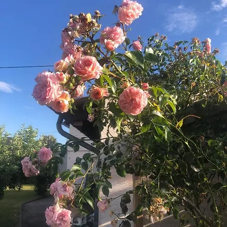 Goebel's Gute Stube Vakantiehuis Wirfus