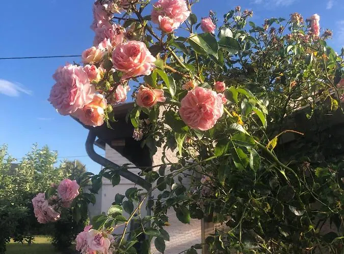 Goebel's Gute Stube Casa de Férias Wirfus